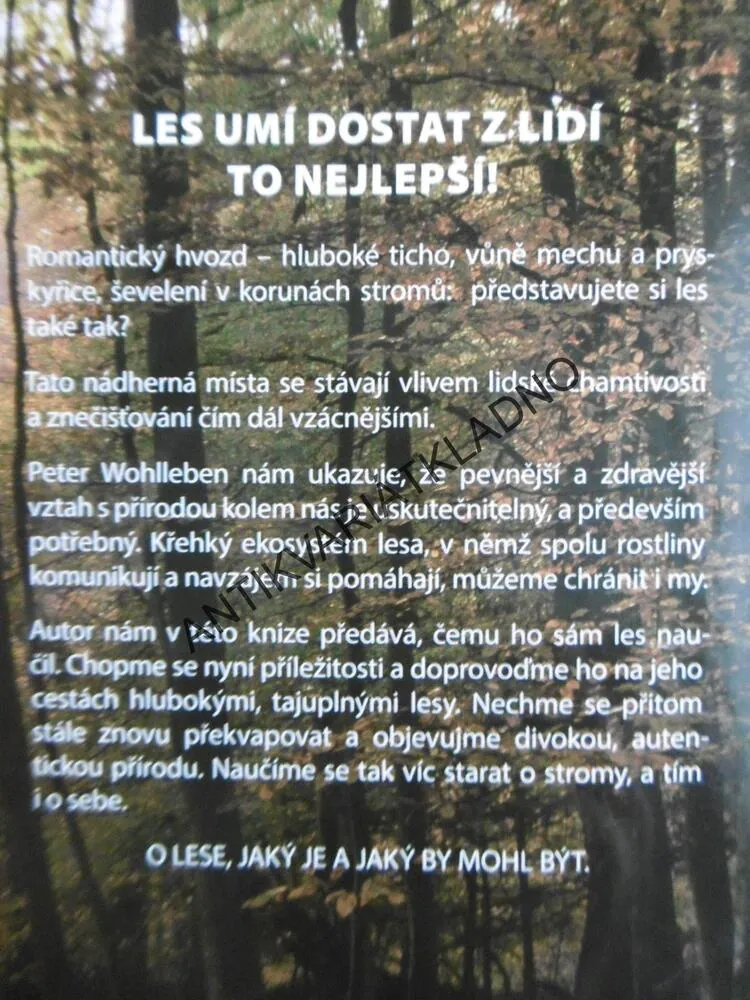 MOUDROST LESA, PETER WOHLLEBEN, **an