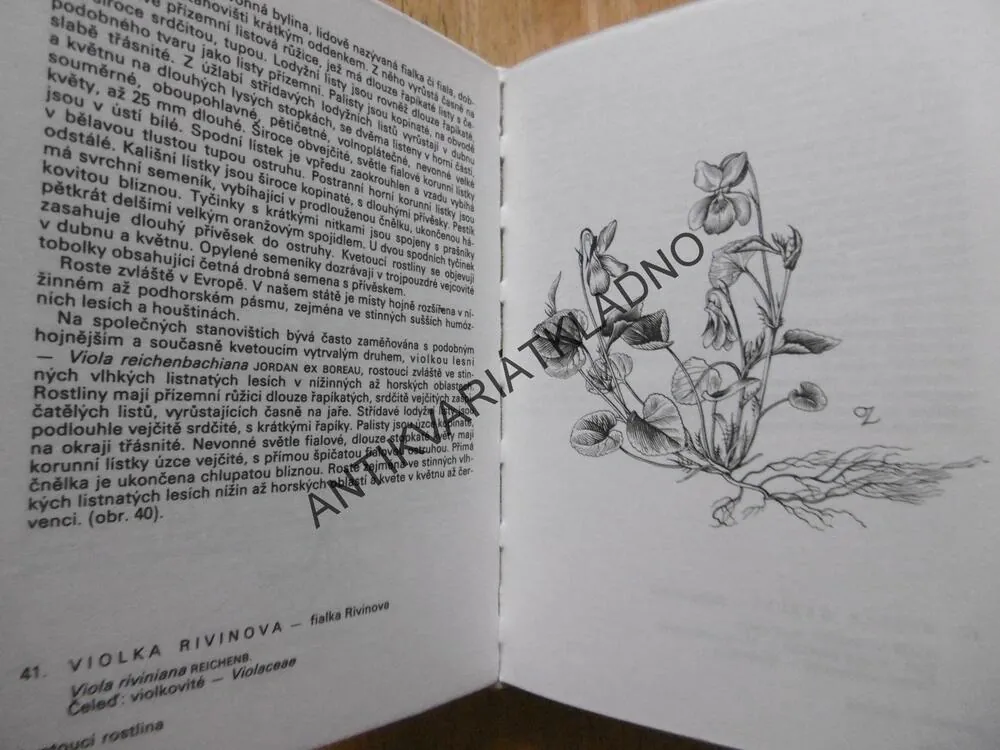 ROSTLINY STRÁNÍ, SKAL, KŘOVIN A LESŮ, FRANTIŠEK HRON, OTAKAR ZEJBRLÍK