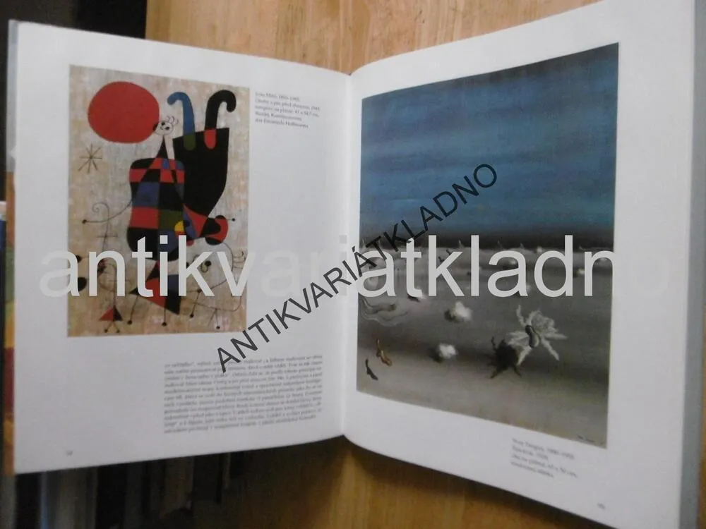 MALÍŘSTVÍ 20.STOLETÍ, GOTTLIEB LEINZ, VÝTVARNÉ UMĚNÍ