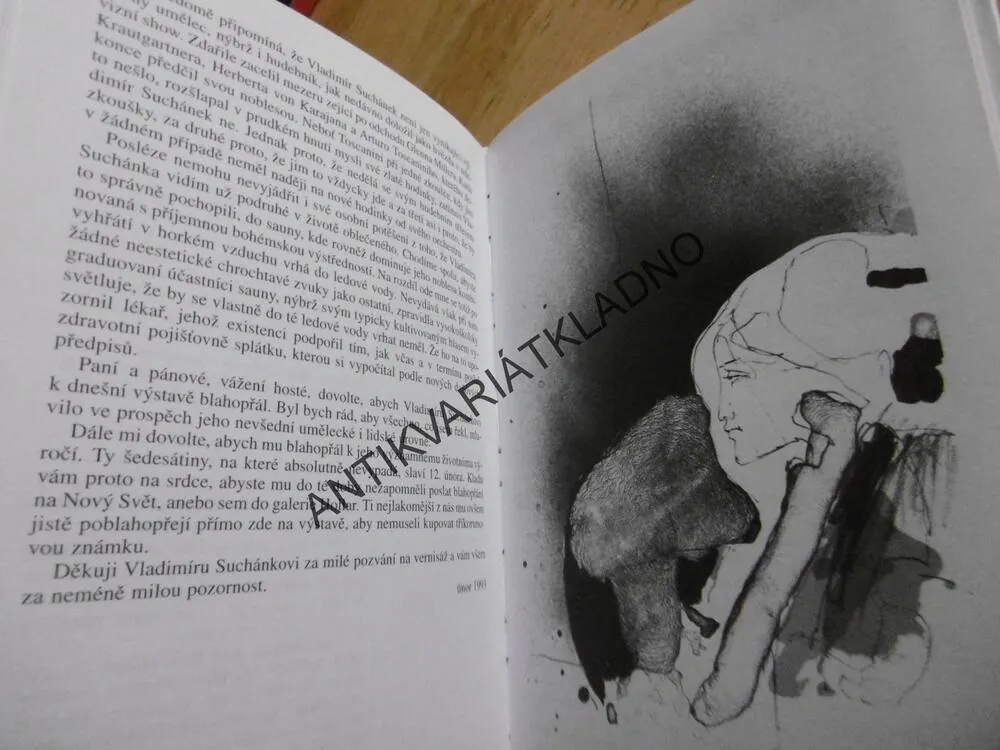 SLOVA MEZI BARVAMI, FRANTIŠEK NEPIL, **an