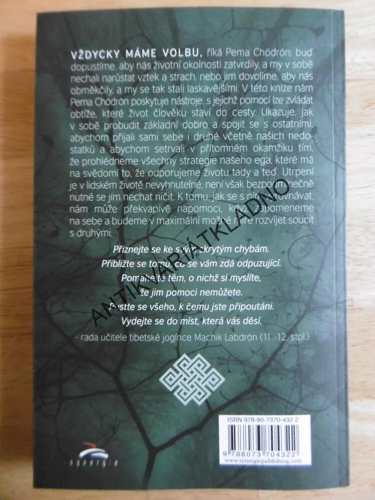 MÍSTA, KTERÁ VÁS DĚSÍ, PEMA CHÖDRÖN, **an