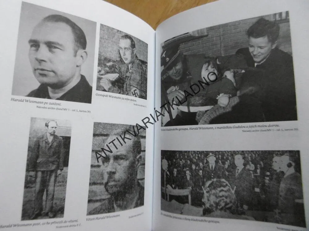 ŠLA S NÍM AŽ K ŠIBENICI, JIŘÍ ČERVENKA, **an