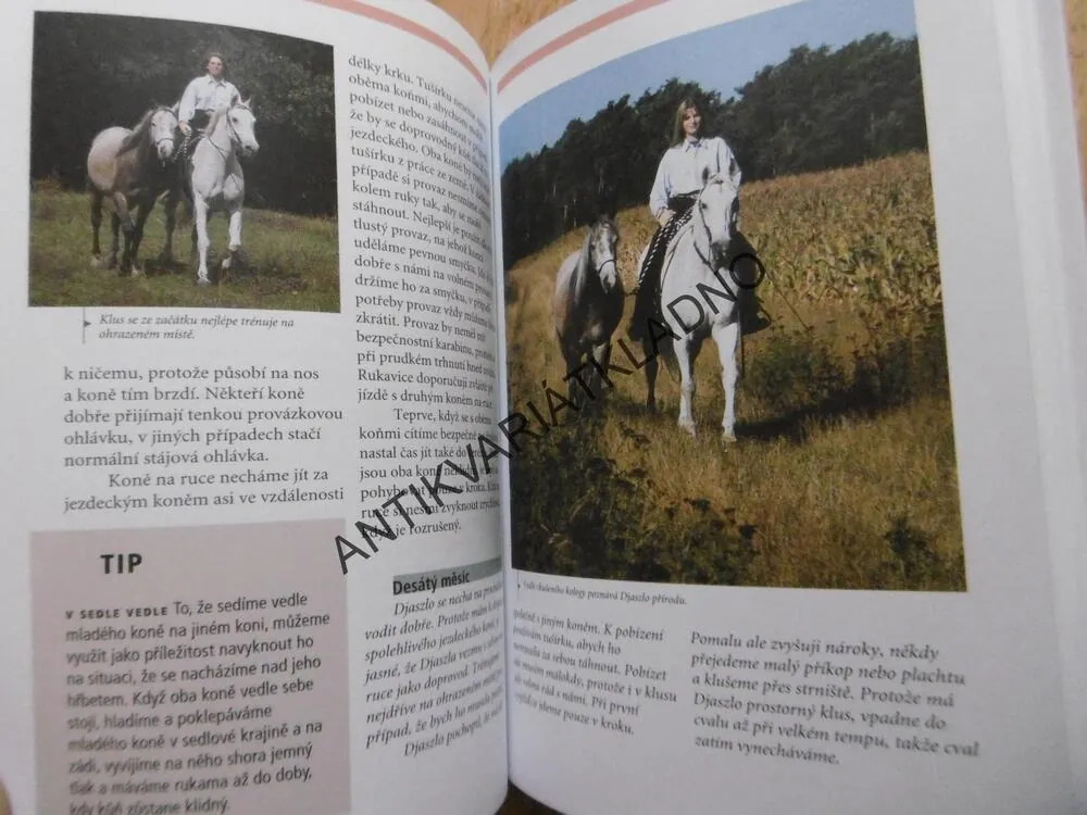 PRVNÍ KROKY POD SEDLEM, VÝCVIK MLADÉHO KONĚ, NATHALIE PENQUITT