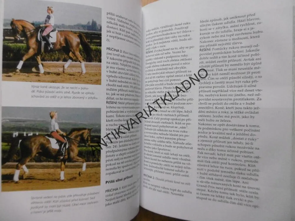 SAMOSTATNĚ V SEDLE, REIHARD MEIER