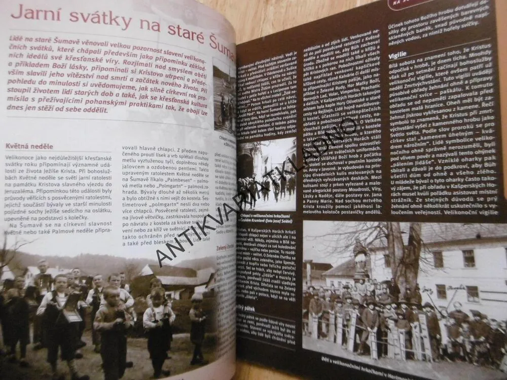 VÍTANÝ HOST, NA ŠUMAVĚ A V ČESKÉM LESE, ŠUMAVA, 1/2016