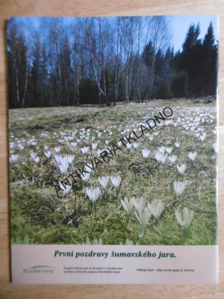 VÍTANÝ HOST, NA ŠUMAVĚ A V ČESKÉM LESE, ŠUMAVA, 1/2018