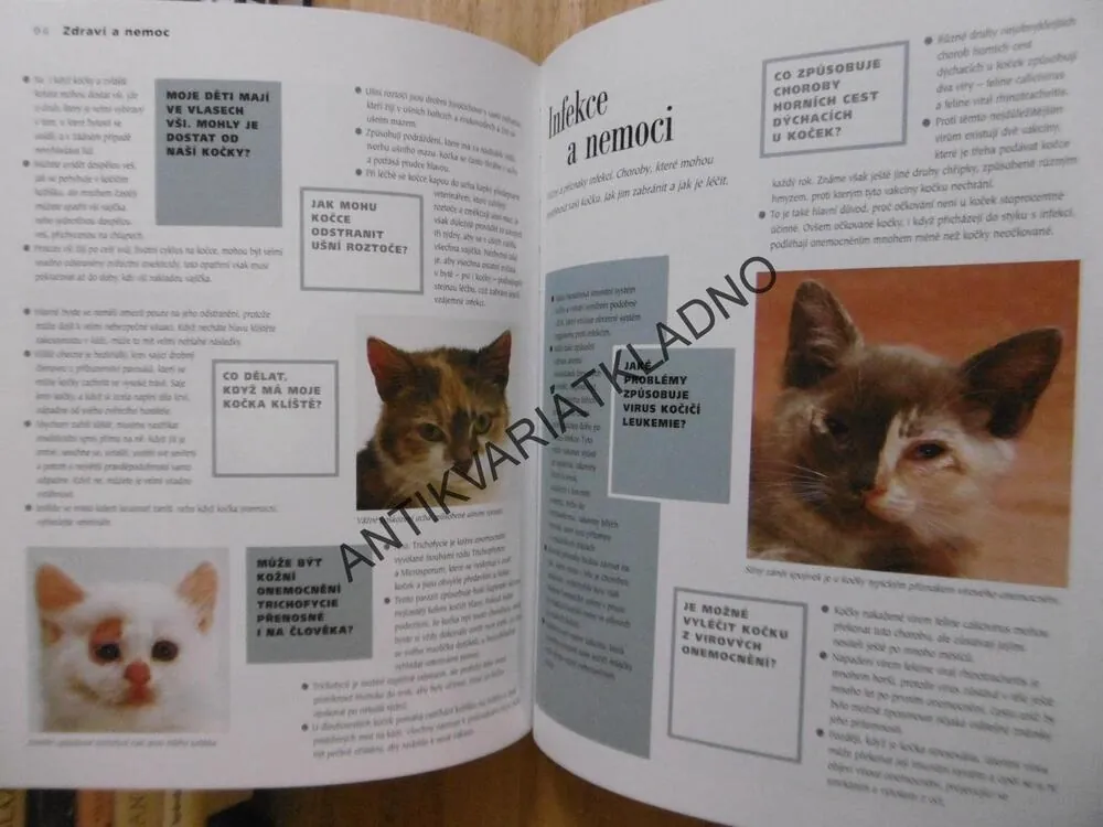 KOČKA, KNIHA OTÁZEK A ODPOVĚDÍ, BRADLEY VINER