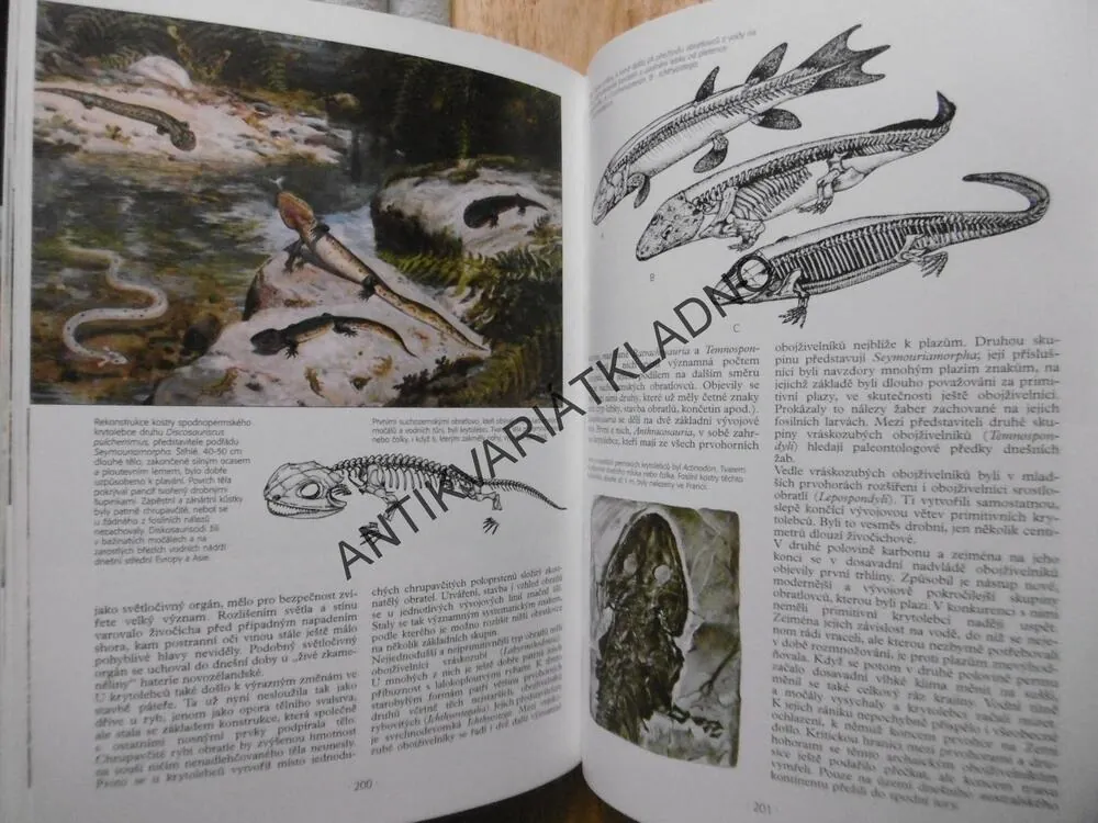 OTISKY ČASU, BOŘIVOJ ZÁRUBA, ZDENĚK BURIAN,