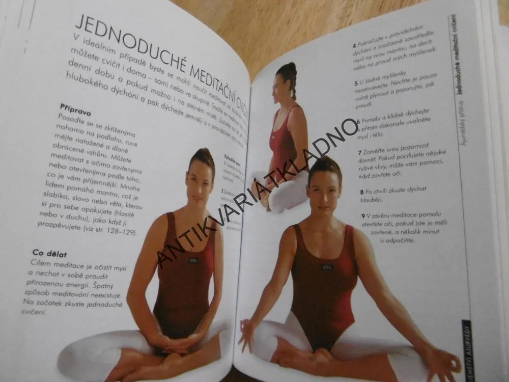 TAJEMSTVÍ ÁJURVÉDY, GOPI WARRIER, VERMA, SULLIVANOVÁ, ÁJURVÉDA