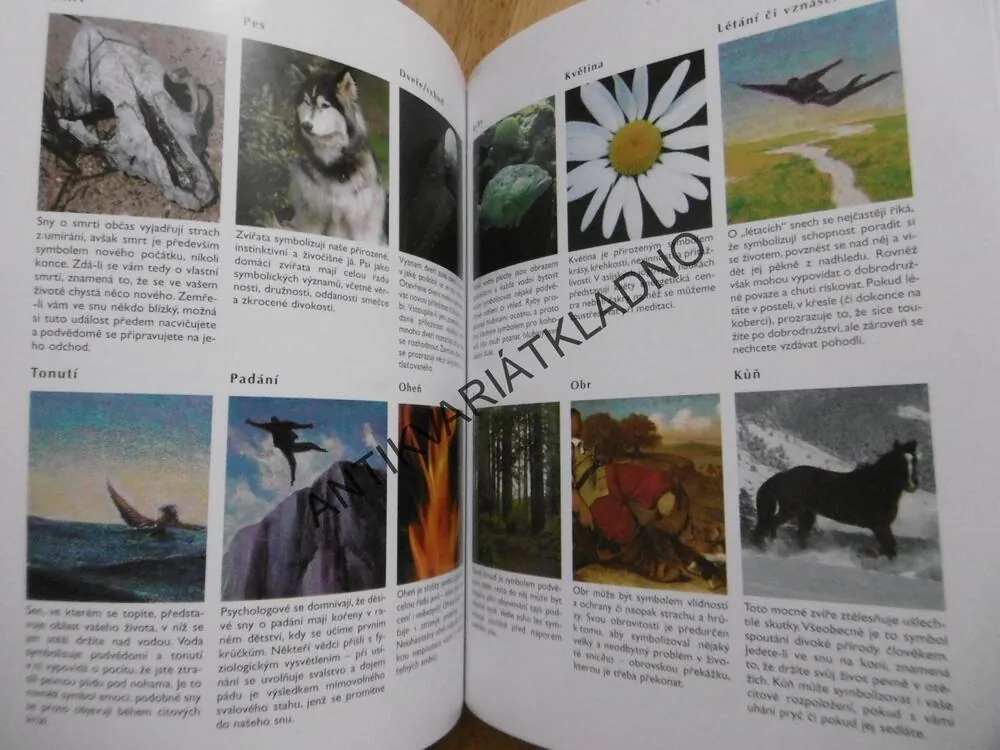 TAJEMSTVÍ BUDOUCNOSTI, PRAKTICKÁ PŘÍRUČKA, HEXAGRAMY, VĚŠTĚNÍ, MANDALY, ASTGROLOGIE, TAROT, AJ.
