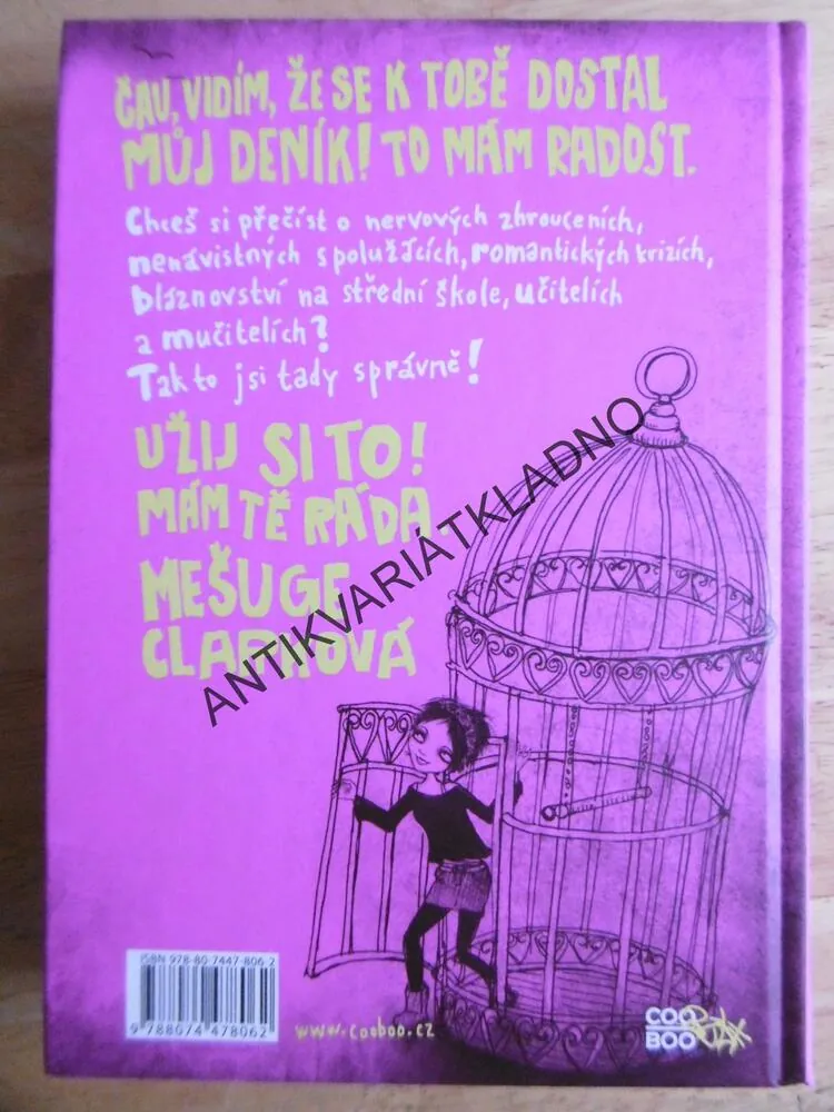 DENÍČEK ŠÍLENÝ HOLKY, JAMES PATTERSON, **an
