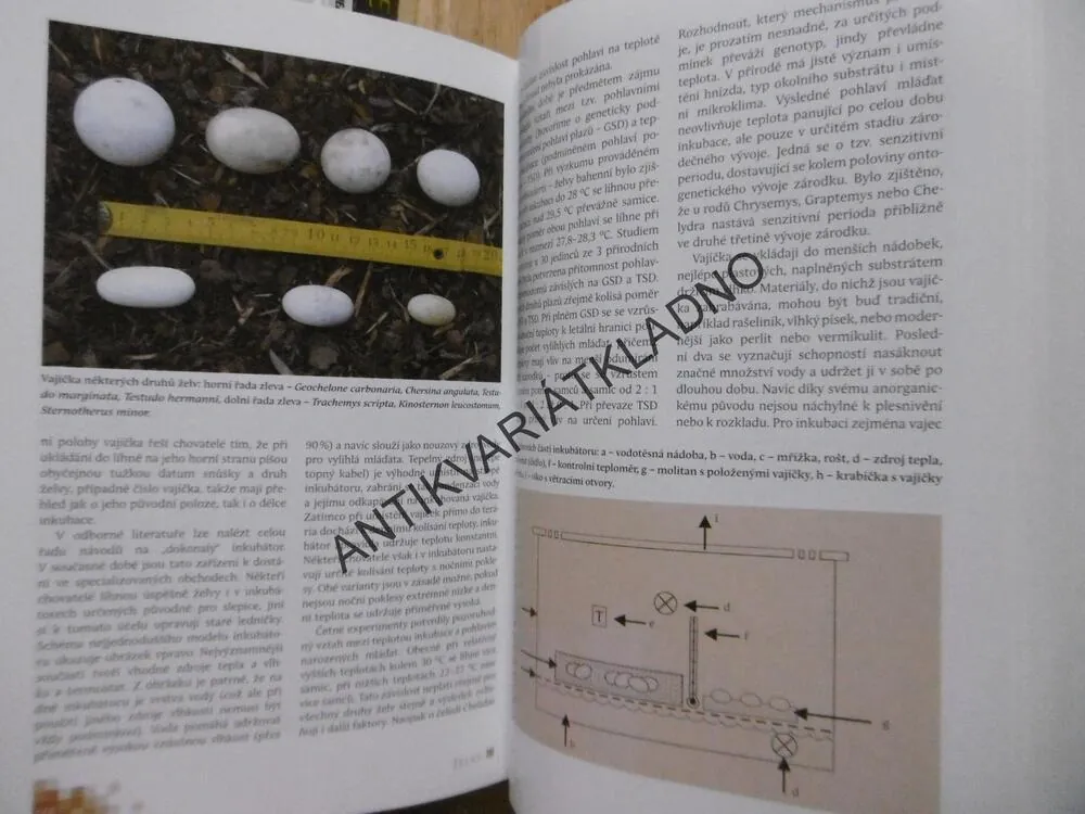 ŽELVY V PŘÍRODĚ A V PÉČI ČLOVĚKA, JIŘÍ ZYCH,