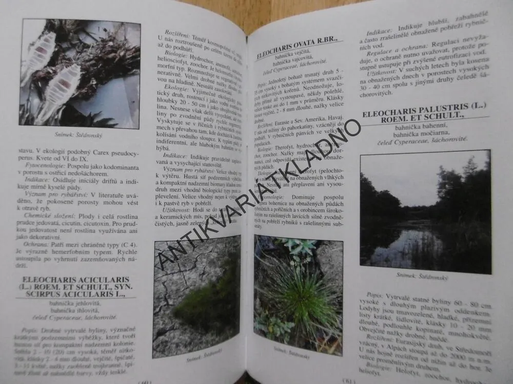 ROSTLINY VOD A POBŘEŽÍ, SLAVOMIL HEJNÝ