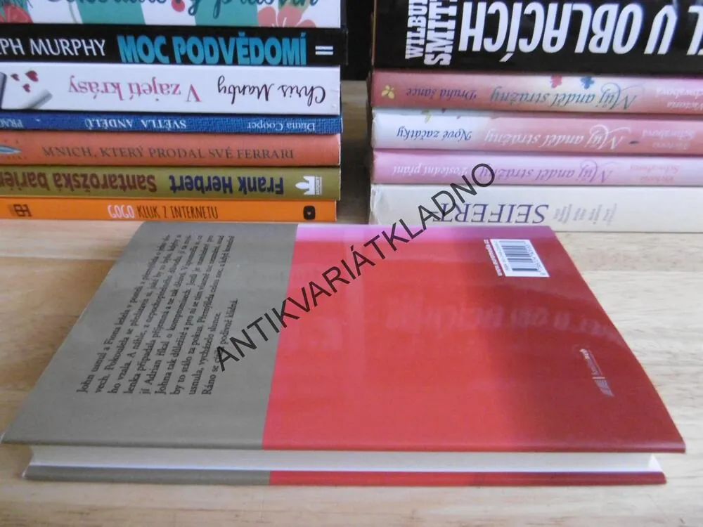 DRUHÁ ŠANCE, DANIELLE STEEL, **an