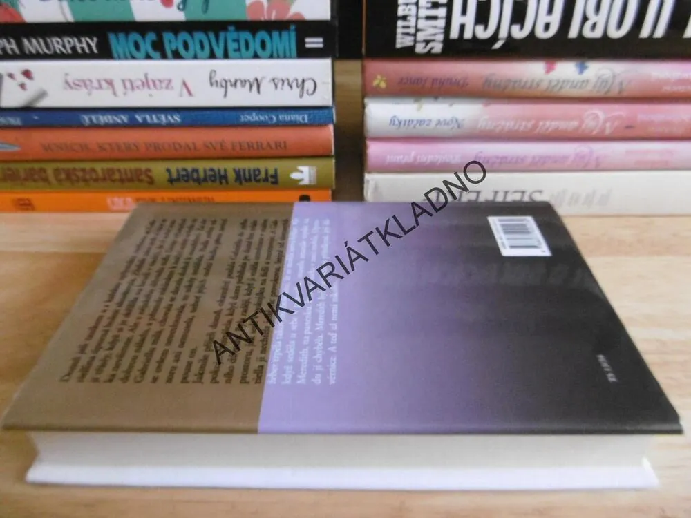 ODPUŠTĚNÍ, DANIELLE STEEL, **an