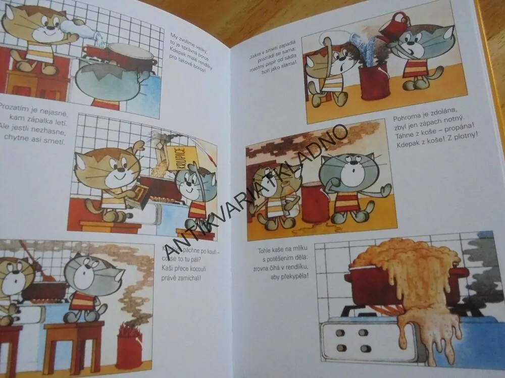 MEZI NÁMI KOŤATY, LJUBA ŠTÍPLOVÁ, VÁŇA