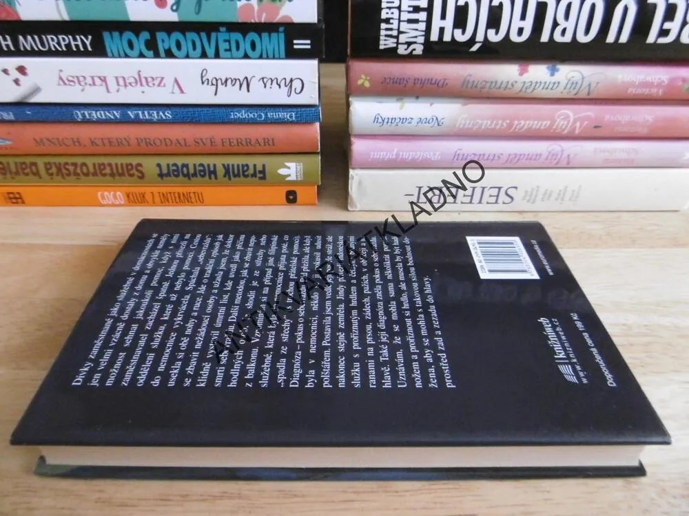ZA ZÁVOJEM, V PASTI SAÚDSKOARABSKÉHO RÁJE, LYDIA LAUBEOVÁ