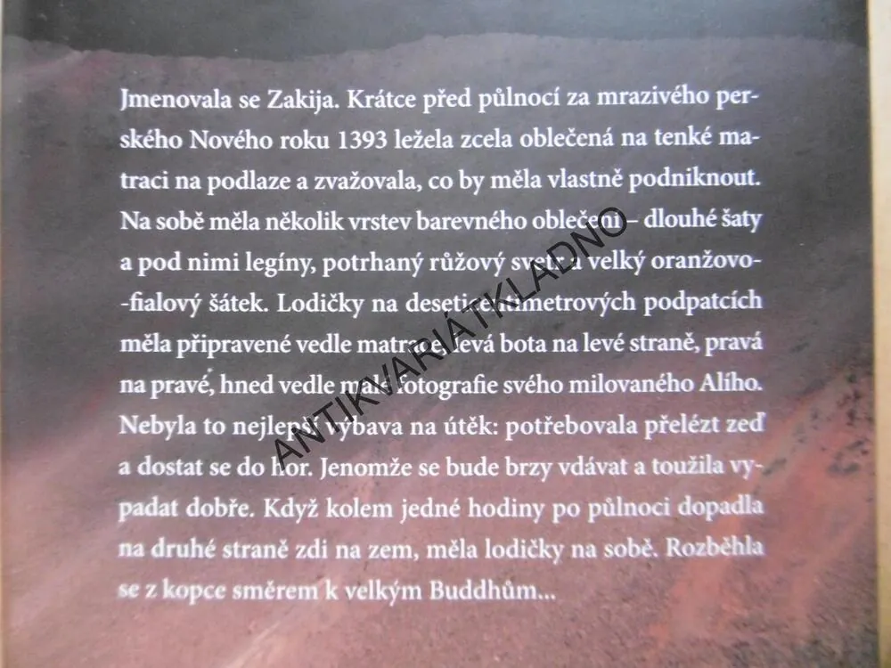 MILENCI, ROME A JULIE AFGHÁNISTÁNU, ROD NORDLAND, **an