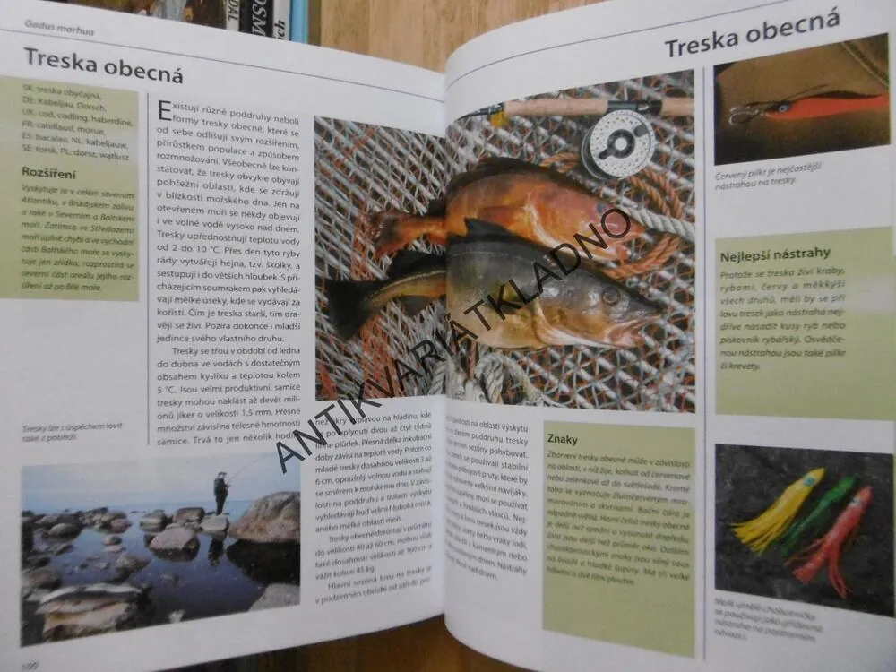 VELKÝ ATLAS RYB, AKVARISTIKA, AKVARIUM, **an