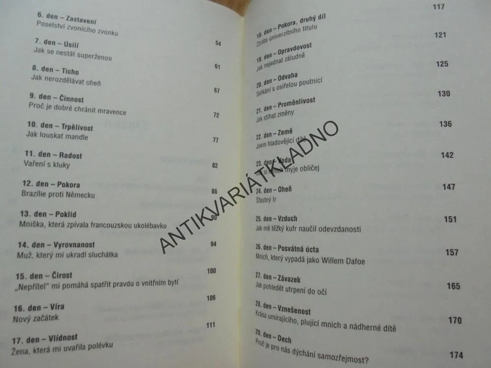 MNIŠI A JÁ, 40 DNÍ V KLÁŠTEŘE,FRANCIE, PATERSONOVÁ