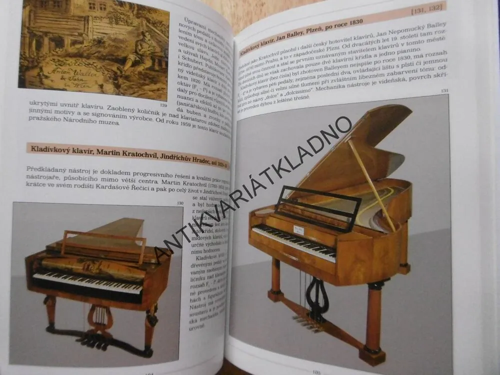 HUDEBNÍ NÁSTROJE, FOTOGRAFICKÝ ATLAS, BOHUSLAV ČÍŽEK, BEZ CD, **an