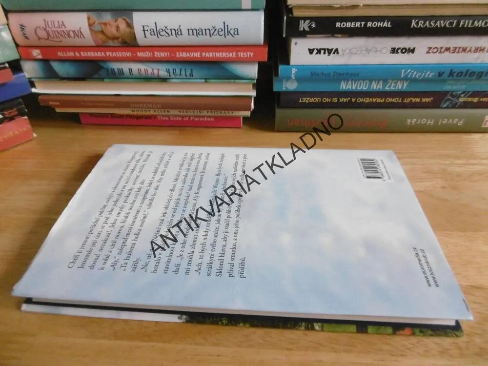 ALYIN DŮM, LEILA MEACHANOVÁ, **an