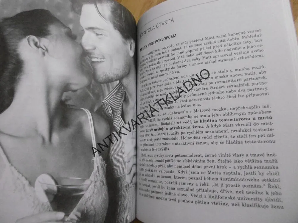 PROČ MUŽI MYSLÍ TAK, JAK MYSLÍ, LOUANN BRIZENDIN, **an