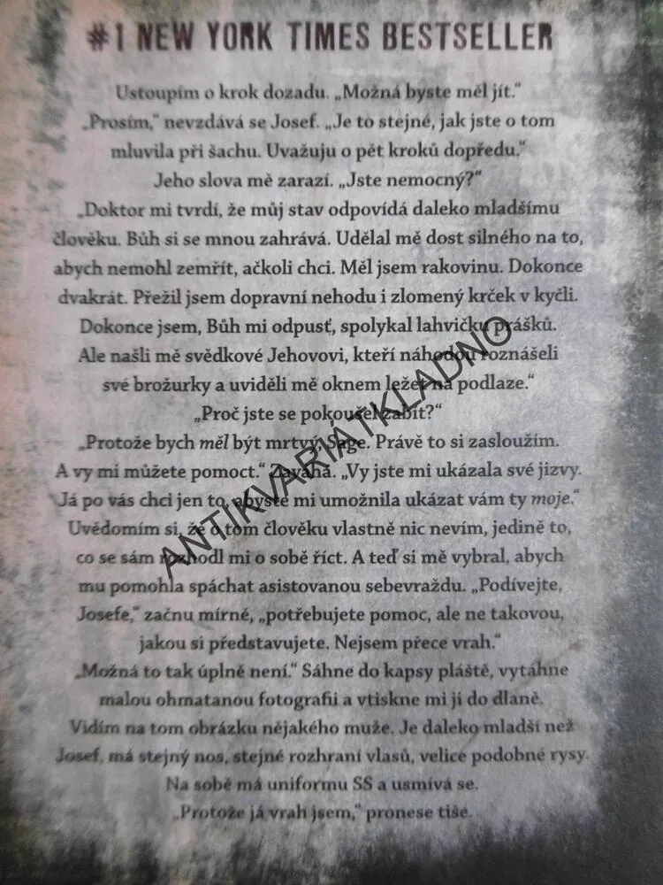 VYPRAVĚČKA, JODI PICOULTOVÁ