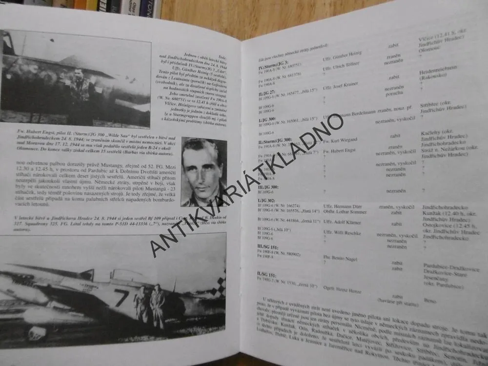 MUSTANGY NAD PROTEKTORÁTEM, JIŘÍ RAJLICH