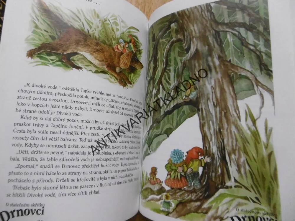 O STATEČNÉM SKŘÍTKU DRNOVCI, VÍTĚZSLAVA KLIMTOVÁ, **an