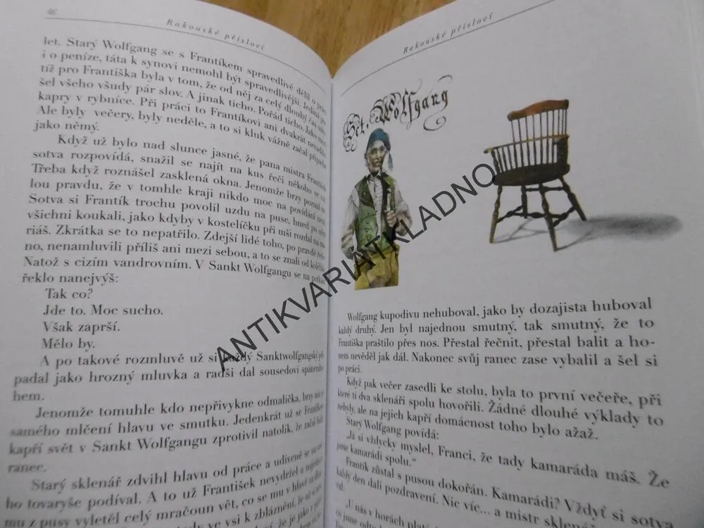 POSLEDNÍHO KOUSNE PES, HANA DOSKOČILOVÁ, JIŘÍ BĚHOUNEK, **an