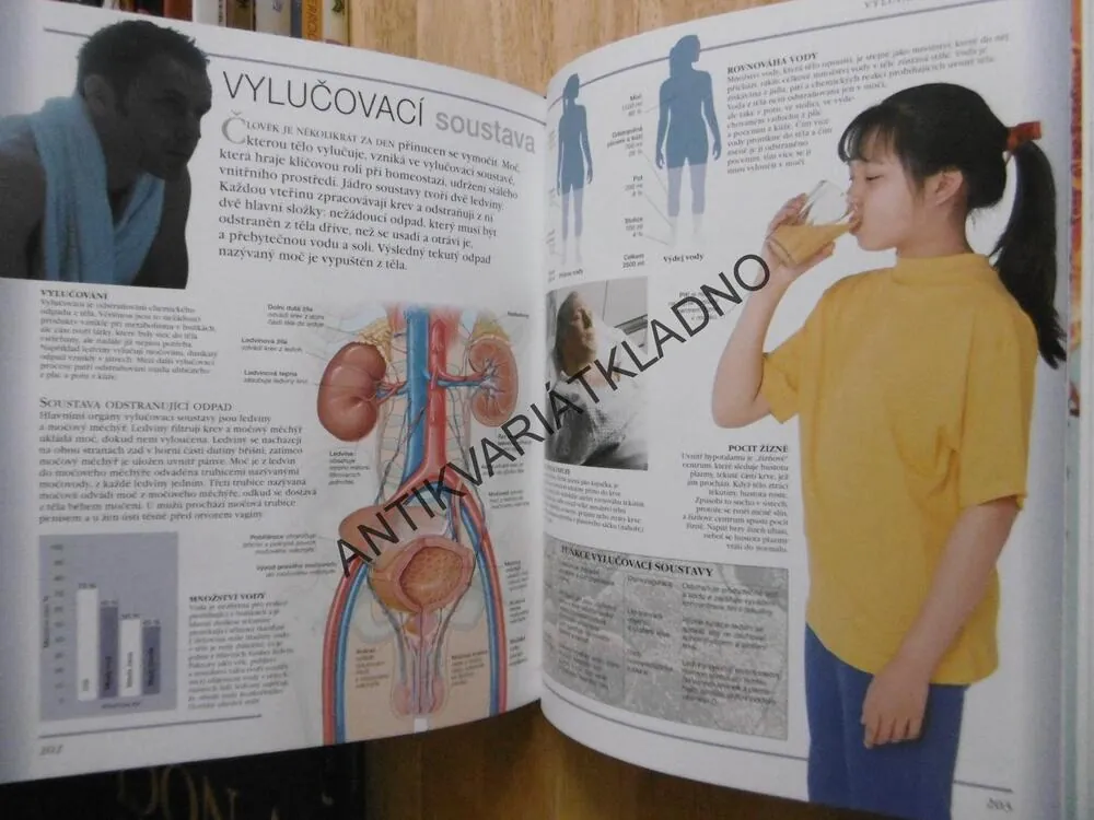 LIDSKÉ TĚLO, VELKÁ RODINNÁ ENCYKLOPEDIE, 