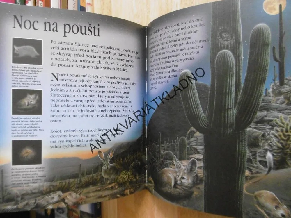 CO SE DĚJE V NOCI, ČTENÍ PŘED SPANÍM, SALLY TAGHOLMOVÁ, **an