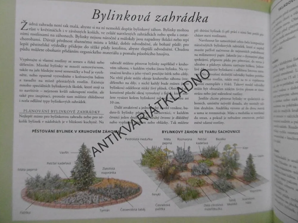 ROK V ZAHRADĚ, JAK SE TĚŠIT ZE ZAHRADY OD JARA DO ZIMY