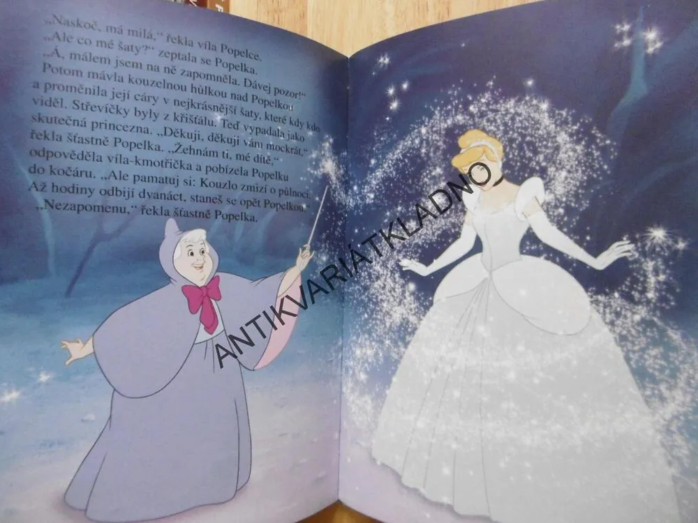 POPELKA, WALT DISNEY 