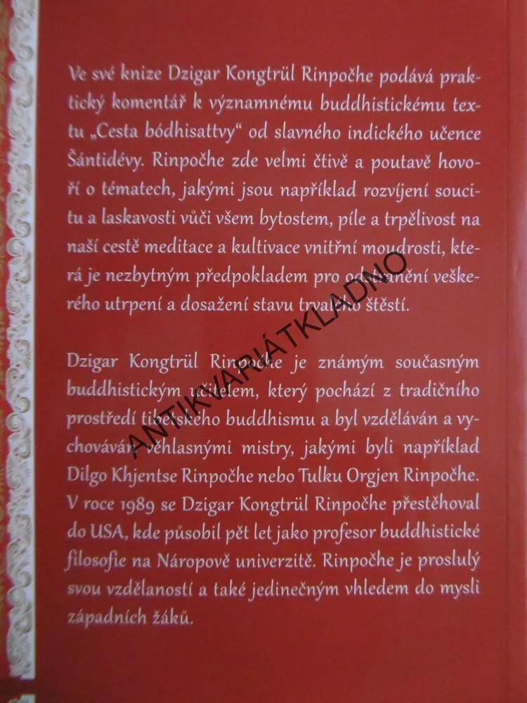 CESTA SOUCITNÉHO BOJOVNÍKA, JAK NALÉZT ŠTĚSTÍ, D.K. RINPOČHE