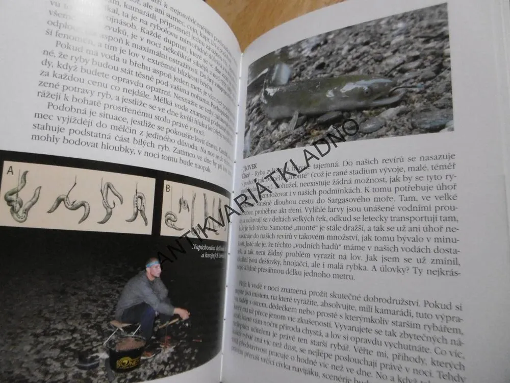 ZAČÁTKY RYBAŘENÍ PRO KLUKY A HOLKY, PETER KOŠIČÁŘ,