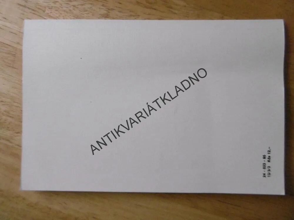 MUŽ, KTERÝ SE TOPIL, MILOSLAV ŠVANDRLÍK, NEPRAKTA, **an