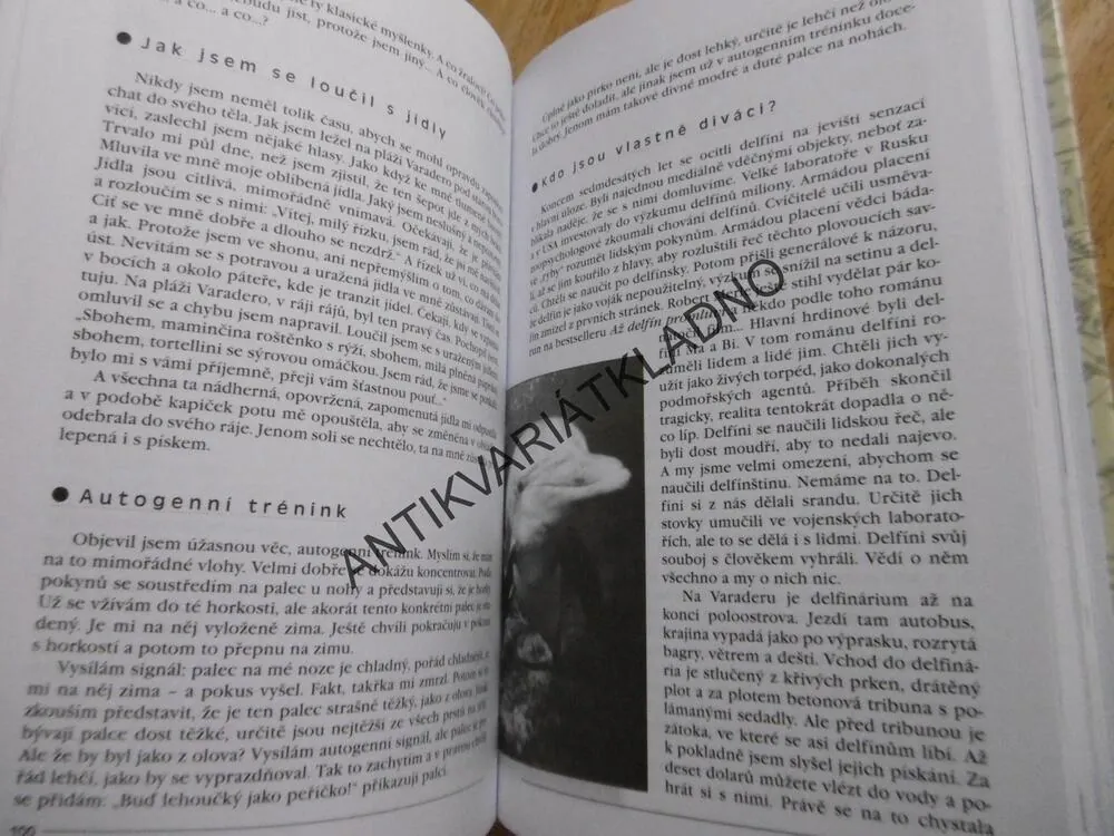 BORIS FILAN, TAM TAM, TEXTAŘ, DRAMATURG, SCÉNÁRISTA, SPISOVATEL, MODERÁTOR, CESTOVATEL **an