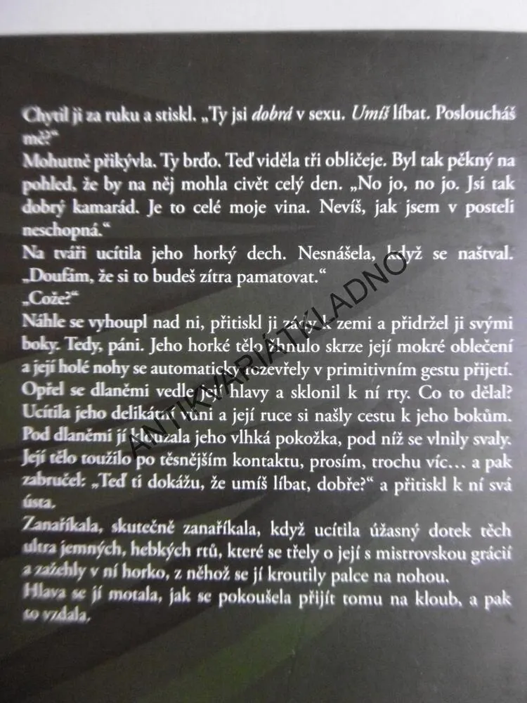 HLEDÁNÍ PODMANIVÉ KRÁSY, JENNIFER PROBSTOVÁ,