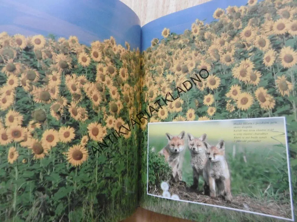 KRÁSY LESA, ERICH MAREK, MYSLIVOST,