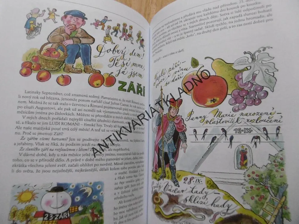 BAREVNÝ ROK, BOŽENA ŠIMKOVÁ, ALENA JANOUŠKOVÁ, **an