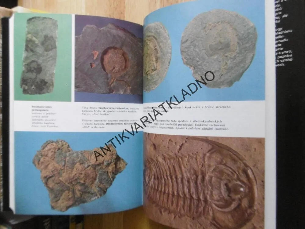 ZKAMENĚLÝ SVĚT, RUDOLF PROKOP, ARCHEOLOGIE