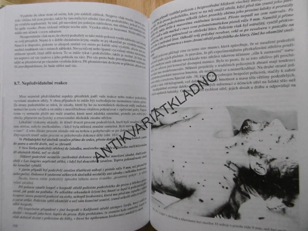 JAK PŘEŽÍT V BETONOVÉ DŽUNGLI, STREET SURVIVAL, RONALD J. ADAMS