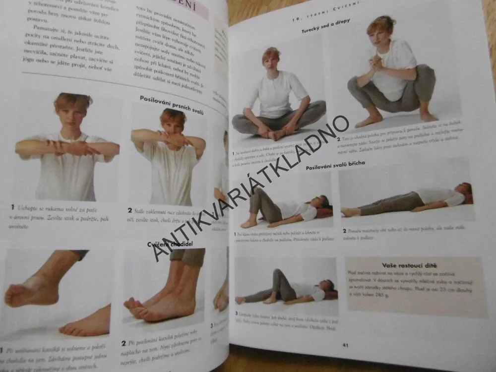 TĚHOTENSTVÍ, TÝDEN PO TÝDNU, PRAKTICKÁ PŘÍRUČKA, ALISON MACKONOCHIEOVÁ, **an