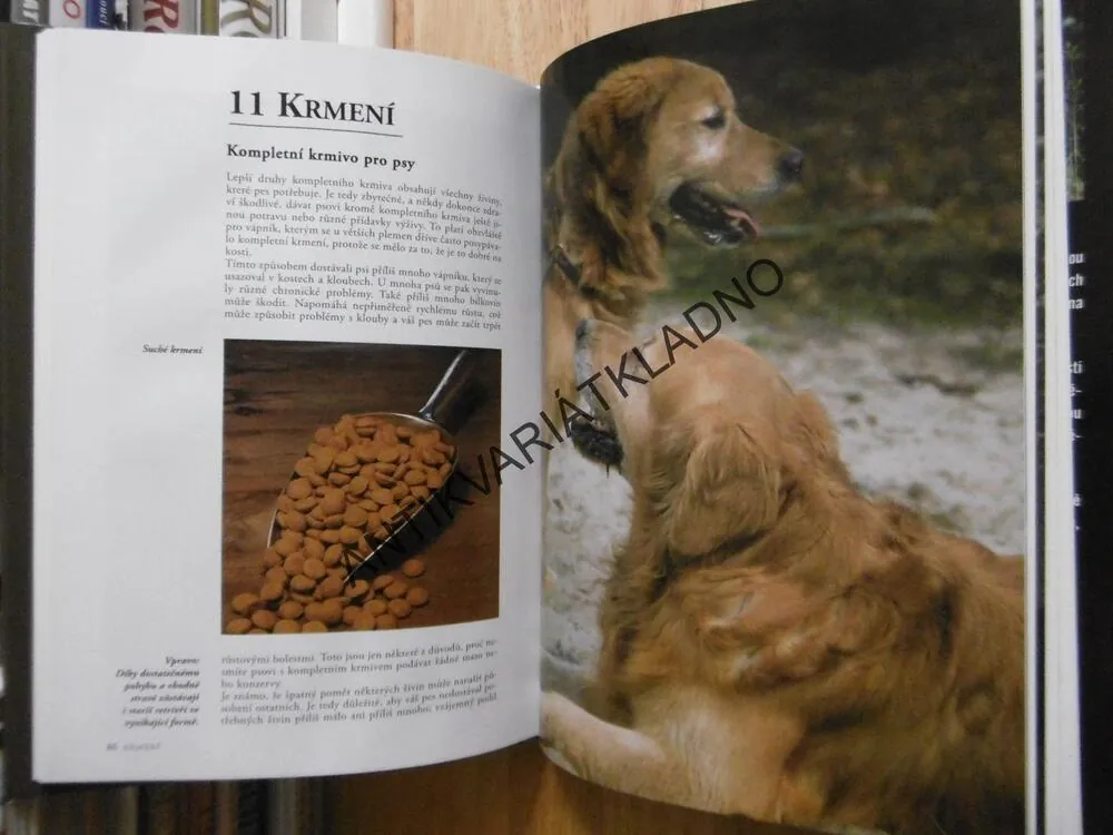 ZLATÝ RETRÍVR, ESTHER VERHOEF,**an