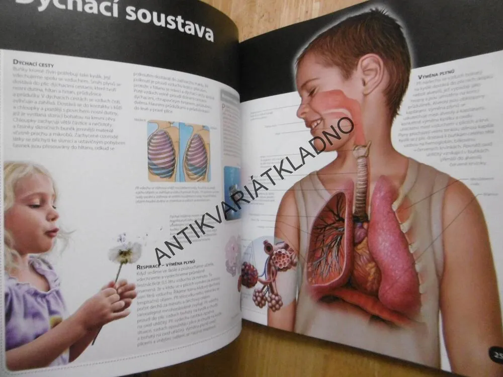 LIDSKÉ TĚLO, VELKÁ ENCYKLOPEDIE S 3D OBRÁZKY, bez 3D BRÝLÍ, **an