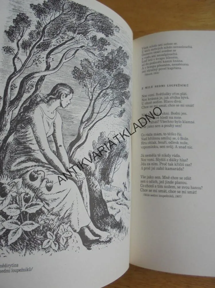 ČESKÁ POEZIE XX-STOLETÍ, BLAHYNKA,DŘEVORYT, 1980, **an