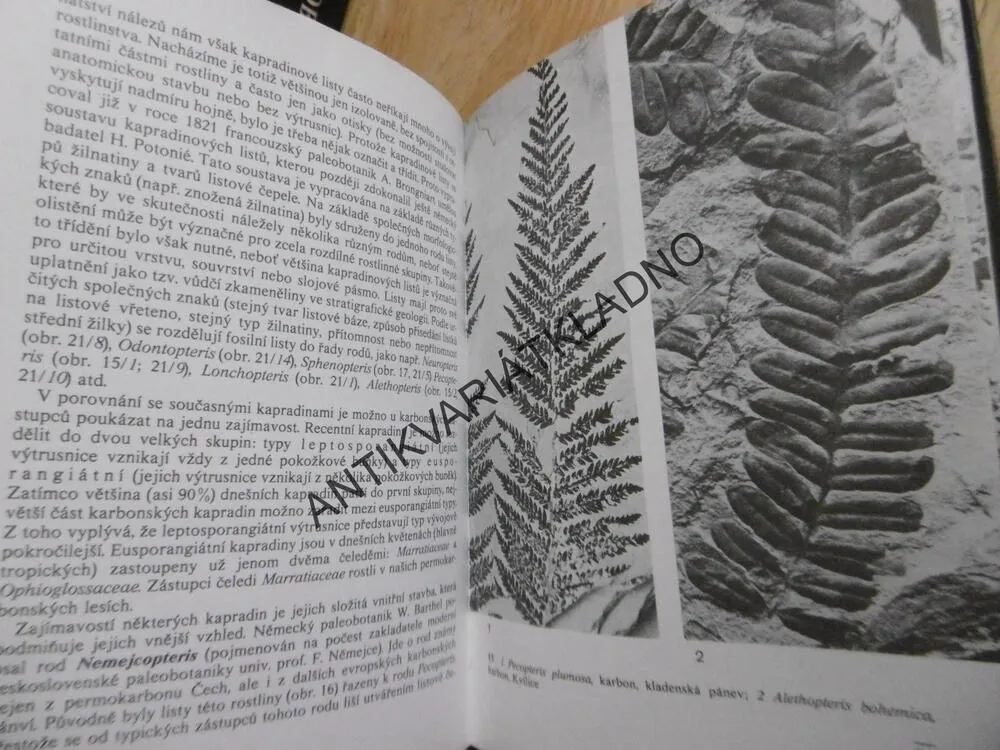 KAPESNÍ ATLAS ZKAMENĚLIN, V. HABĚTÍN, KNOBLOCH,