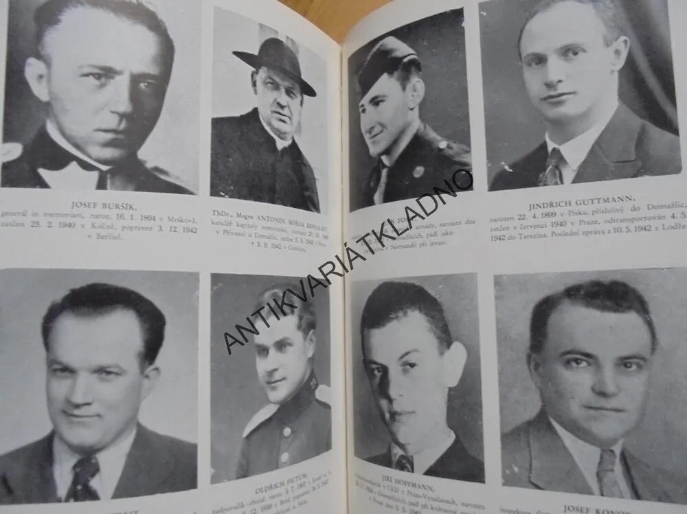 ŽIVOT ZA PRAVDU, PAMÁTNÍK CHODSKÉHO HRDINSTVÍ,CHODSKO,JOSEF ČAPEK